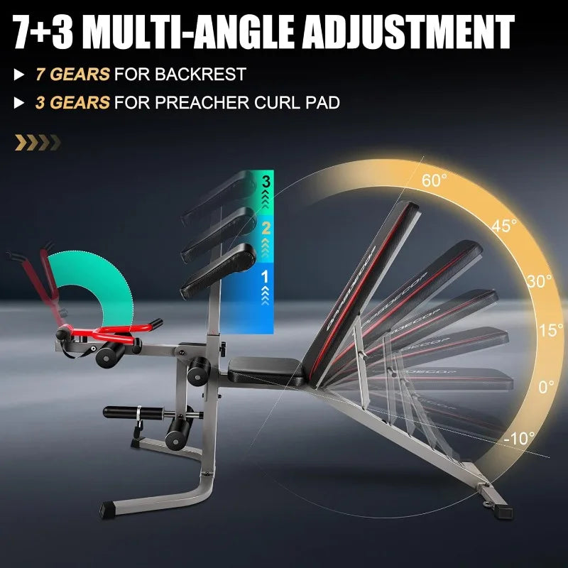 Adjustable Weight Bench Set with Leg Extension & Leg Curl, Weights not included