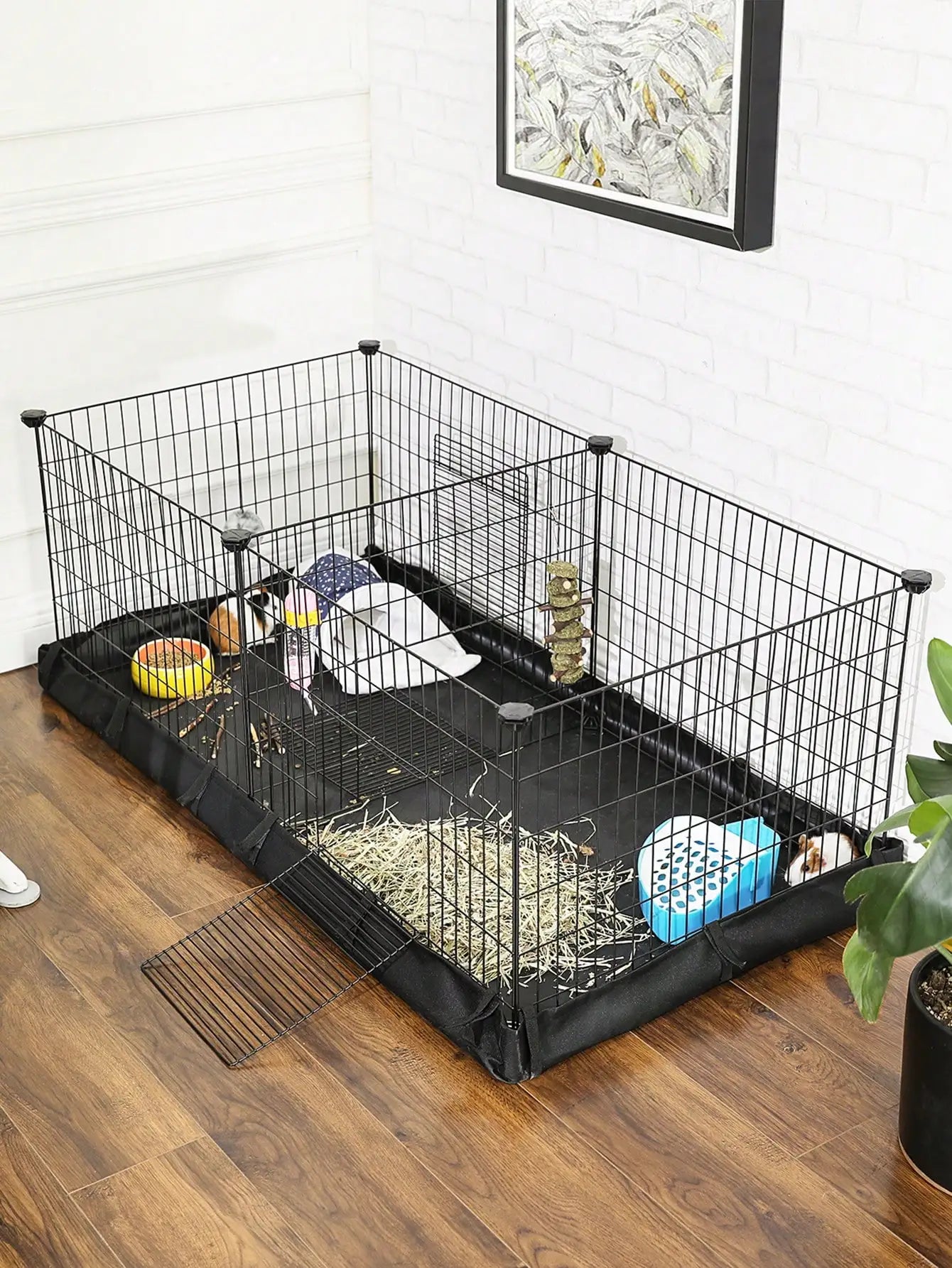 Guinea Pig Cage