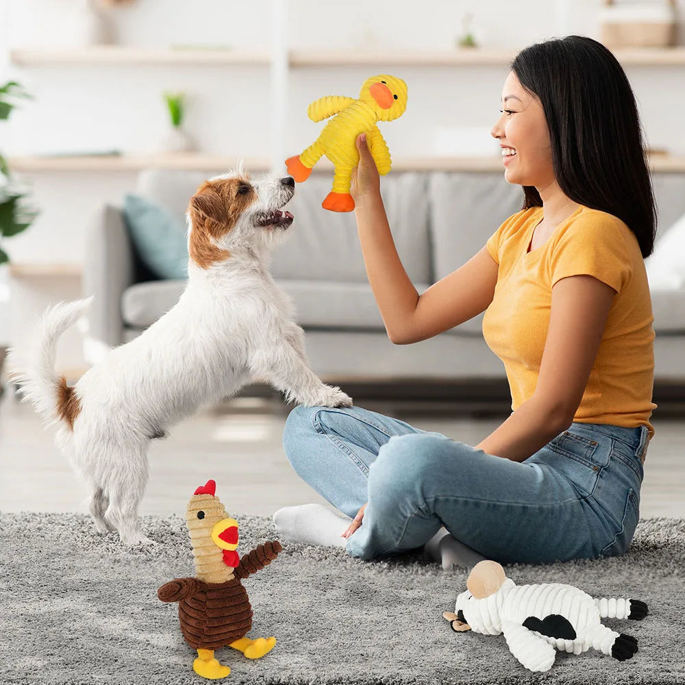 5 Pack Dog Toys