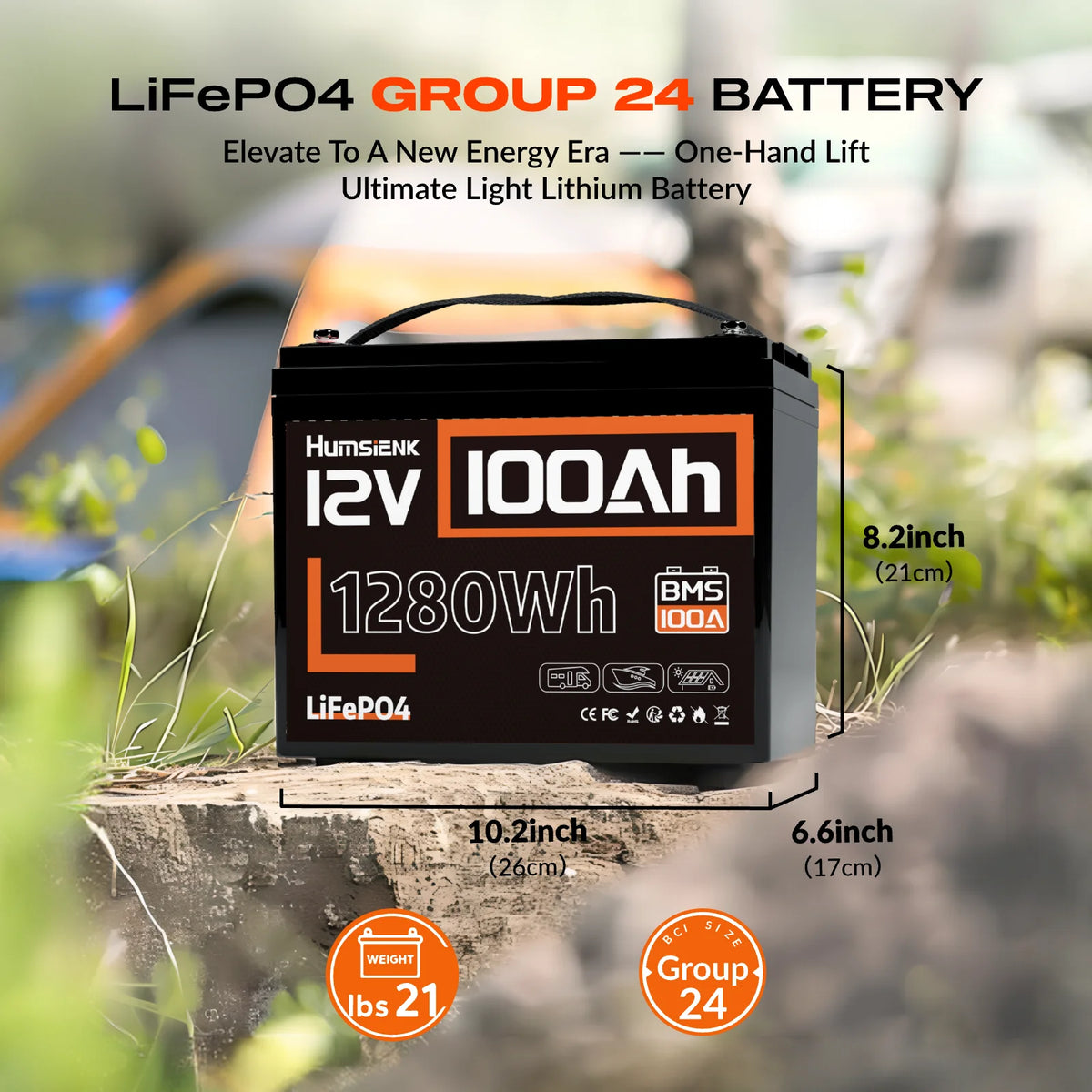LiFePO4 Lithium Battery 12V 100AH BMS 100A