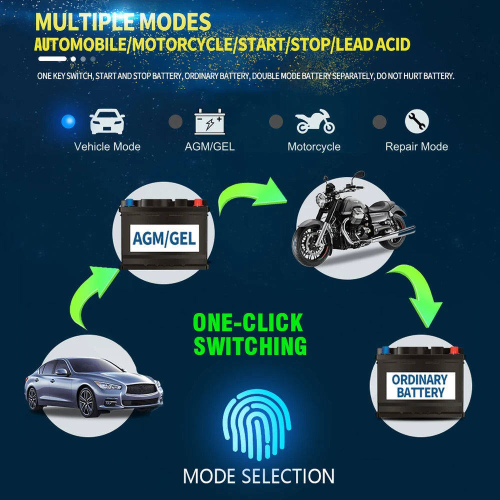 Smart Pulse Repair Battery Charger