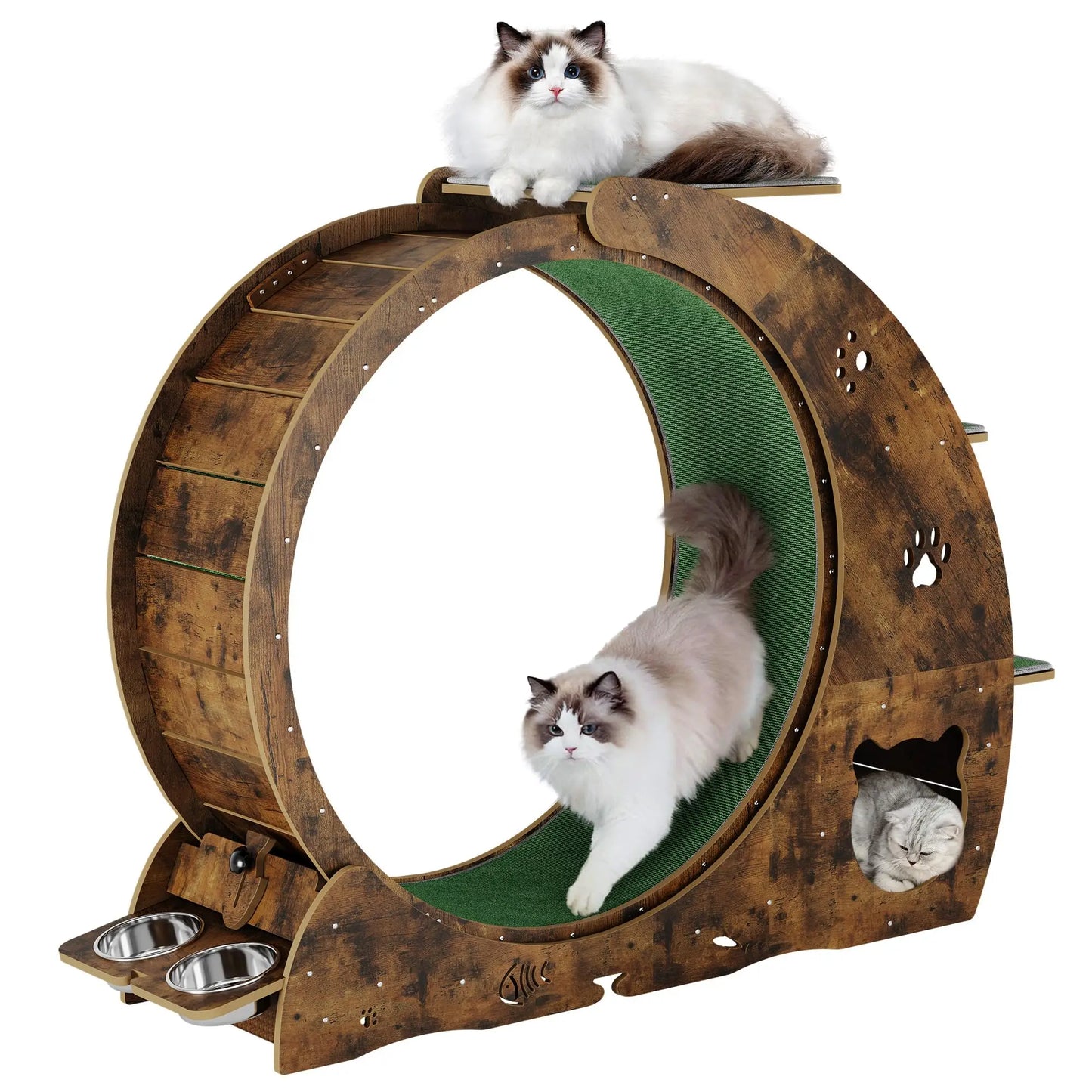 Cat Exercise Wheel