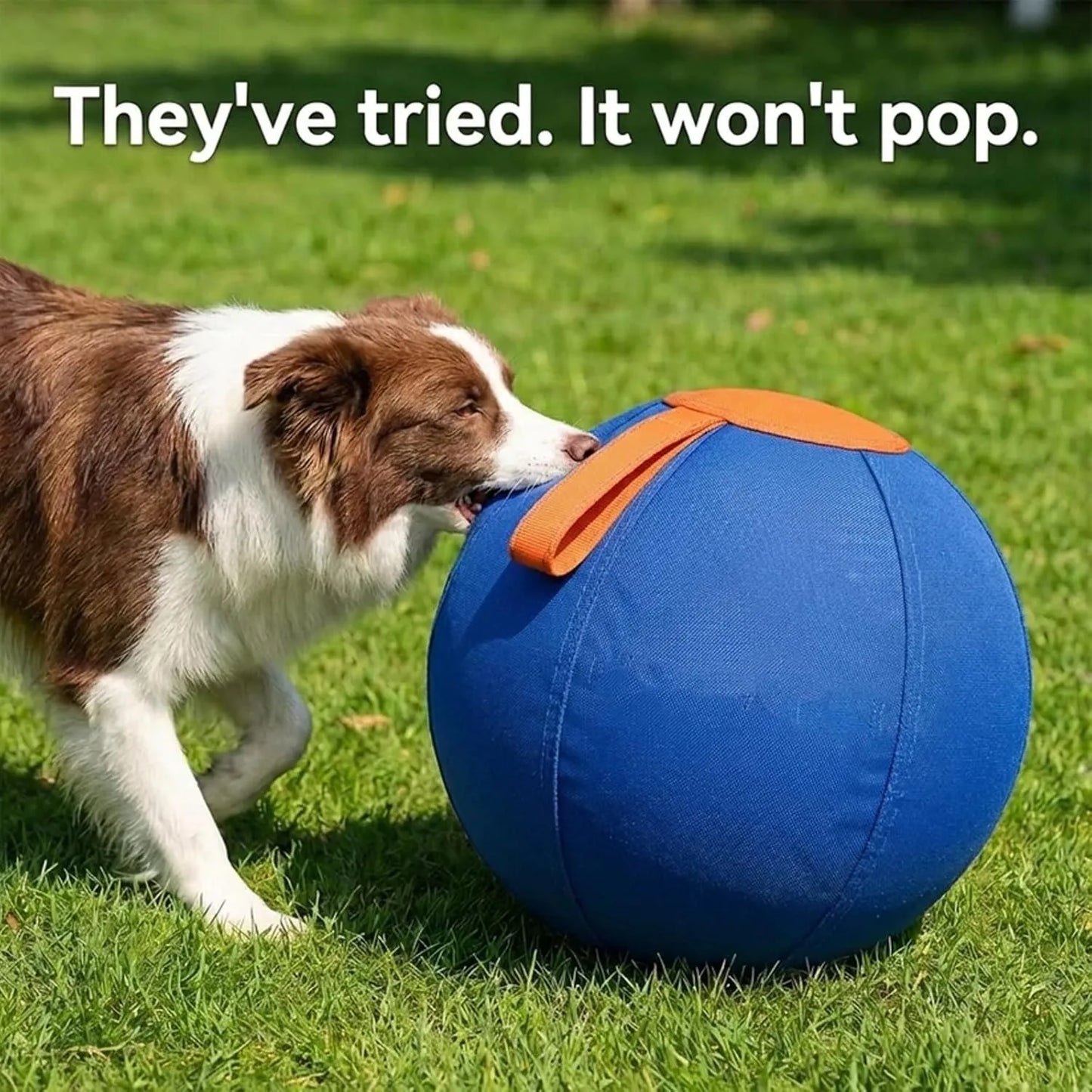 Herding Ball for Dogs,  Tear-Resistant