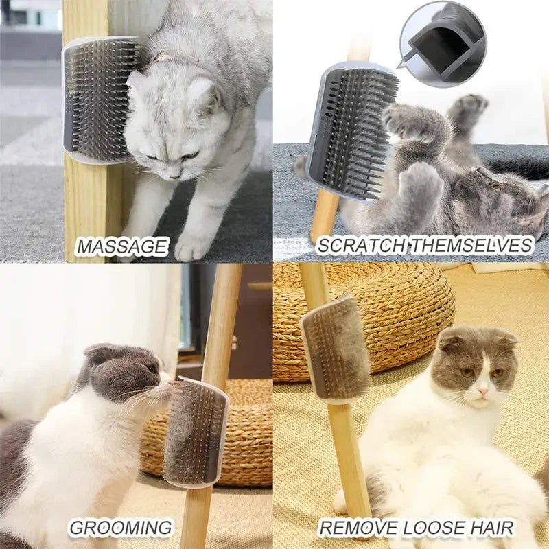 Cat Scratching Brush with Catnip