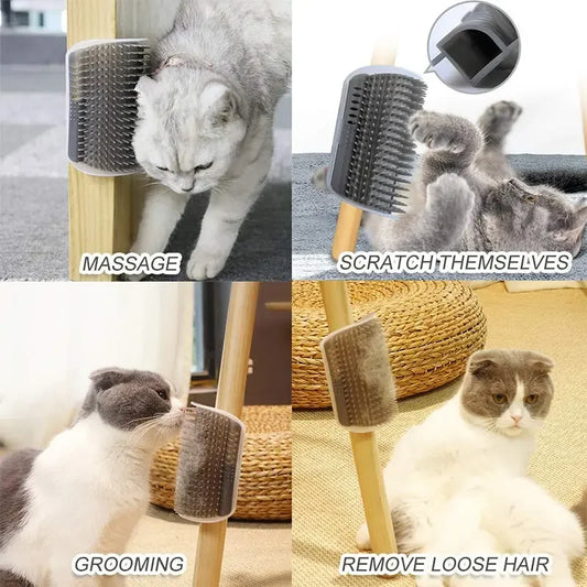 Cat Scratching Brush with Catnip