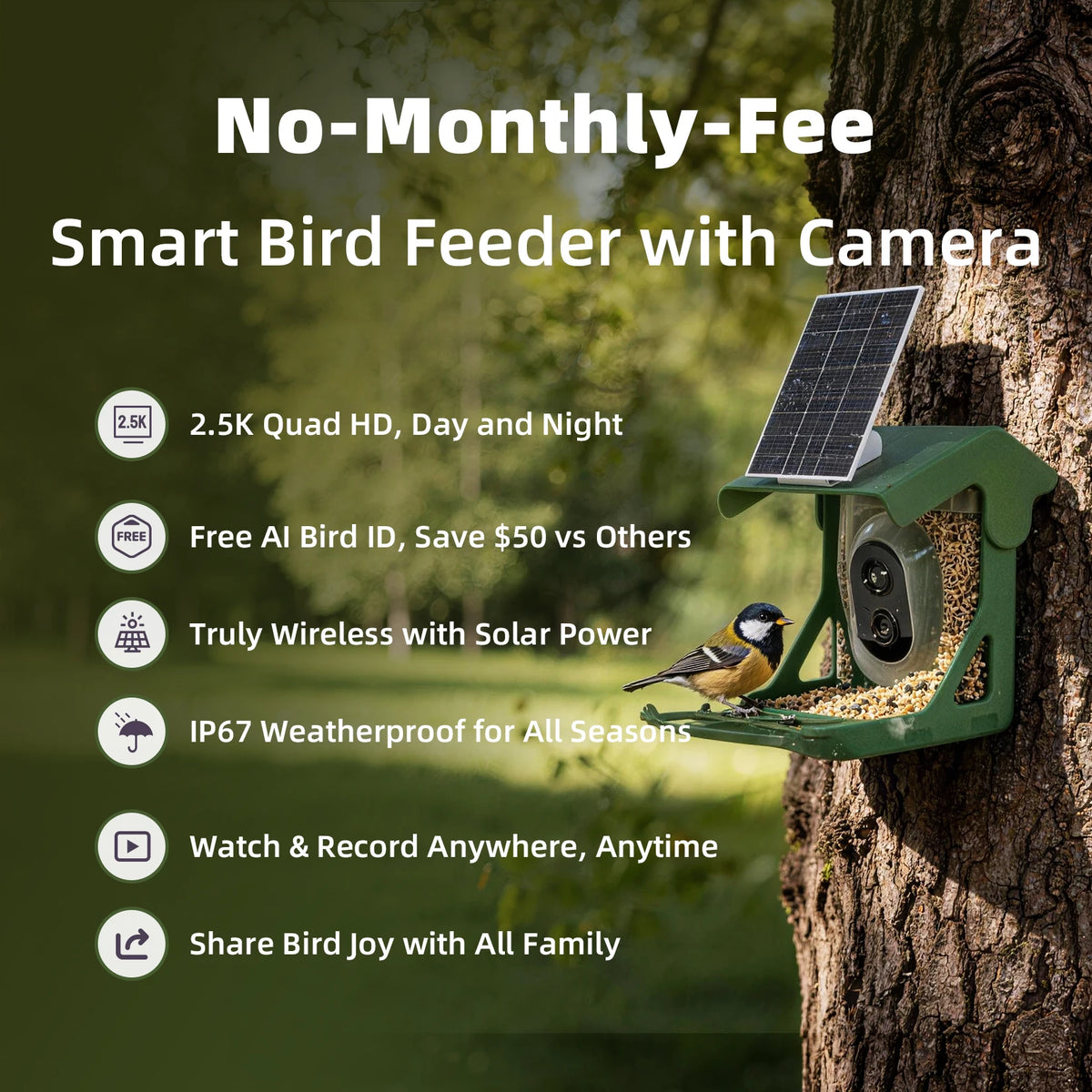 Solar Powered Bird Feeder with Camera