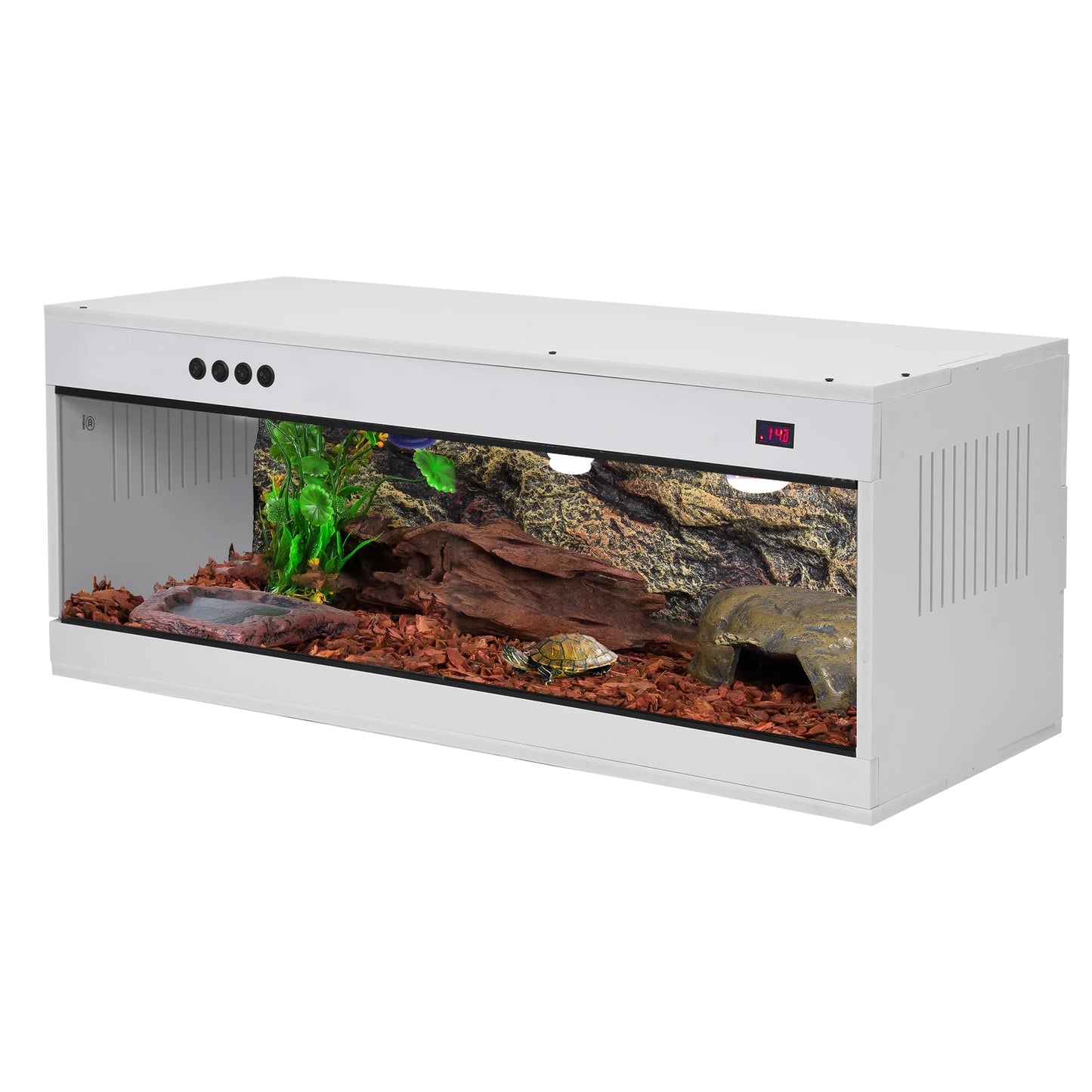 Reptile Terrarium