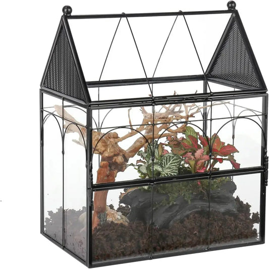 Glass Terrarium Enclosure