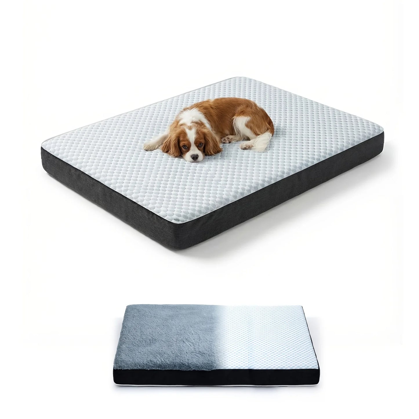 Orthopedic Dog Bed for Large Dogs