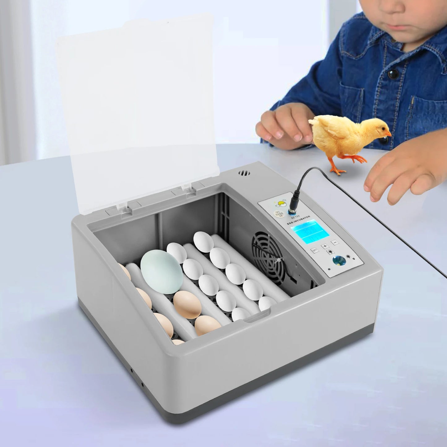 Fully Automatic Digital Household Egg Incubator