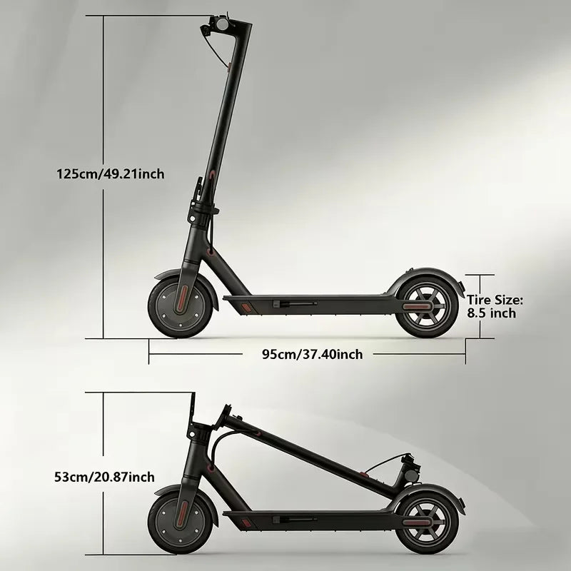 350W Electric Scooter for Adults