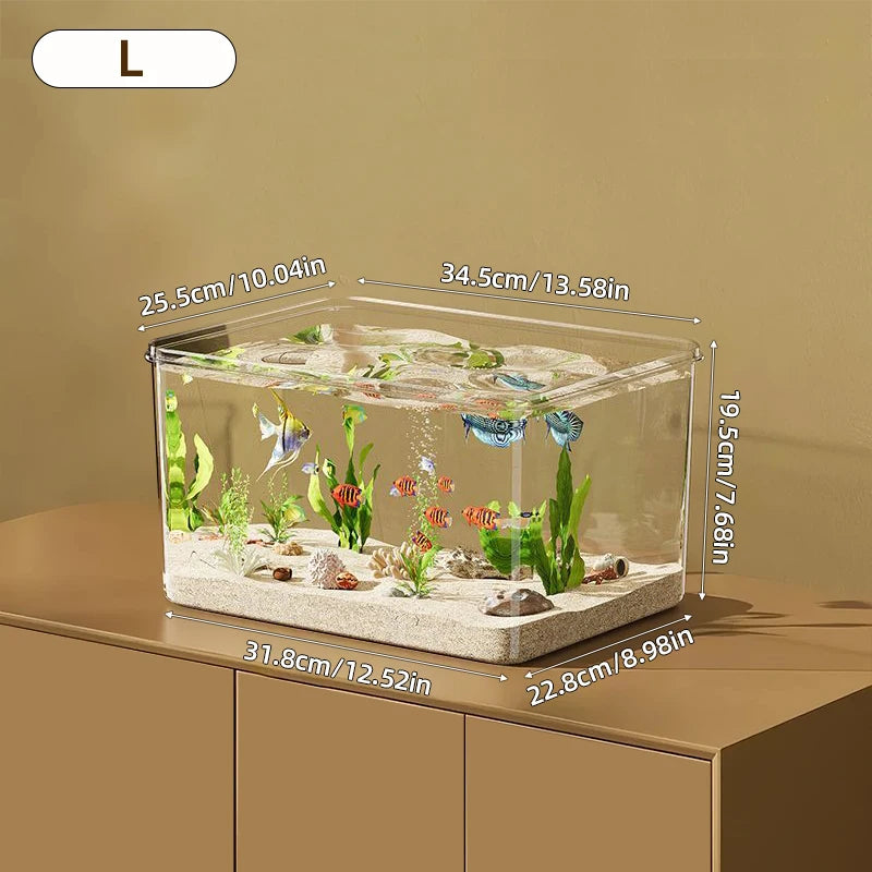 Aquarium Creative Desktop