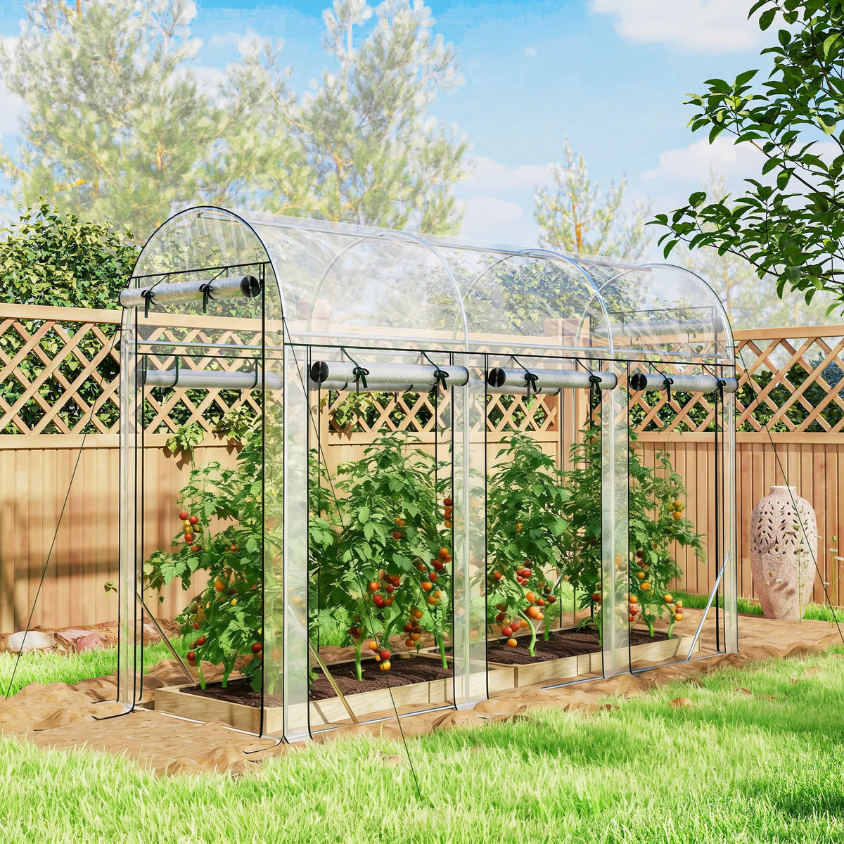 Walk-In Tunnel Greenhouse