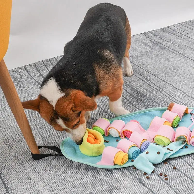 Snuffle Mat For Dogs
