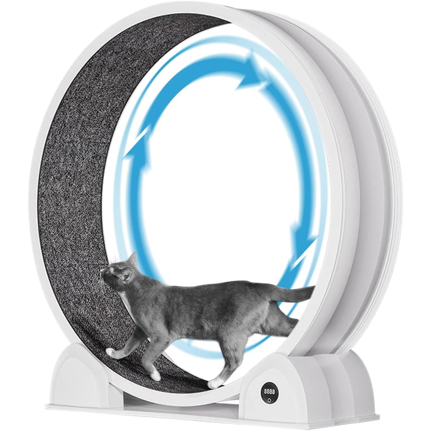 Cat Exercise Wheel