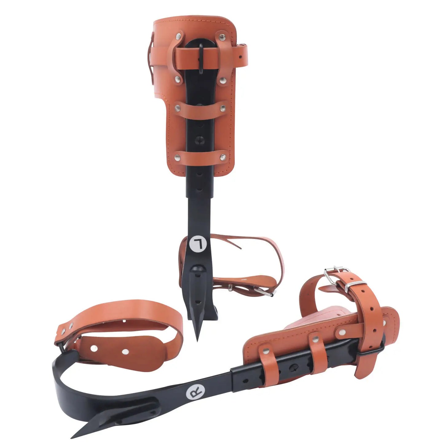 Tree Climbing Spike Set
