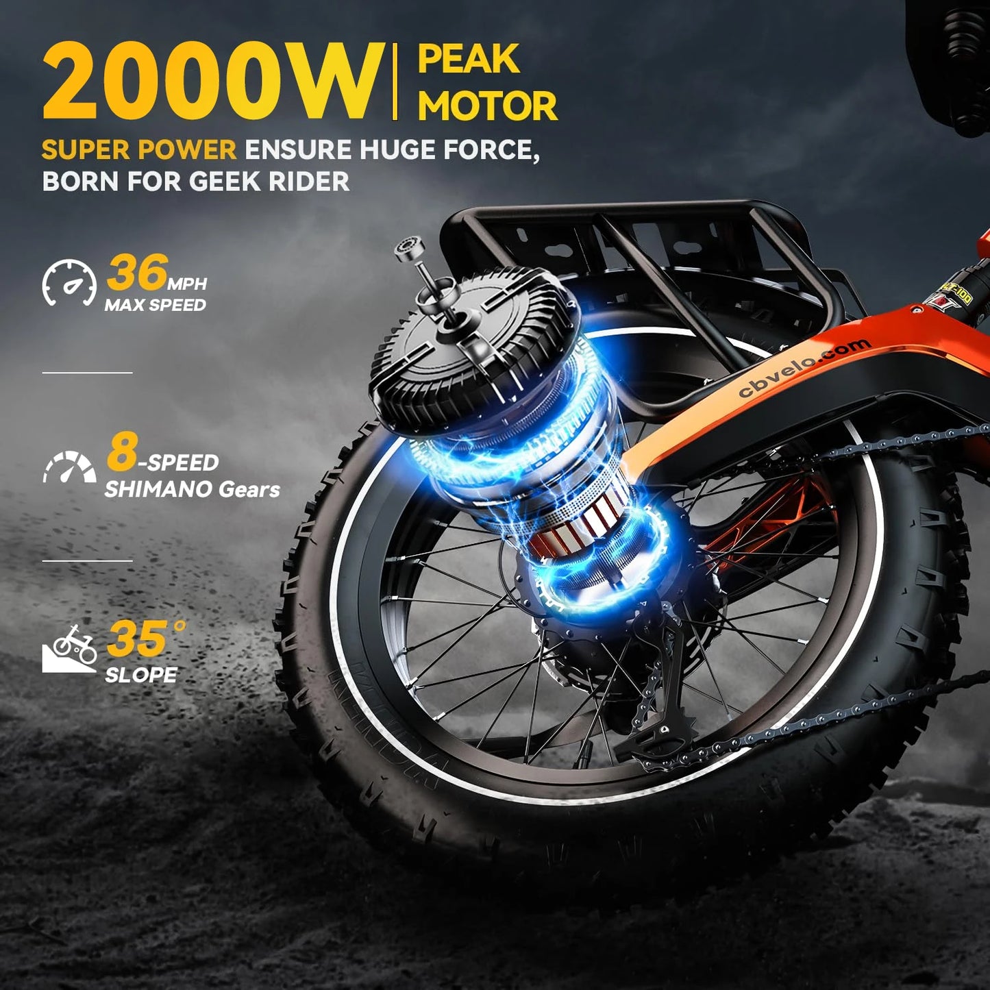 20” Fat Tire 2000W Peak Motor ,48V Removable Battery E Bicycle