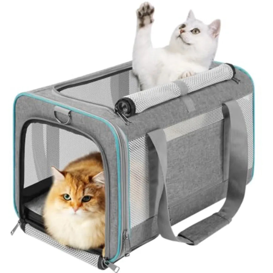 Soft, Collapsible Travel Pet Carry Bag