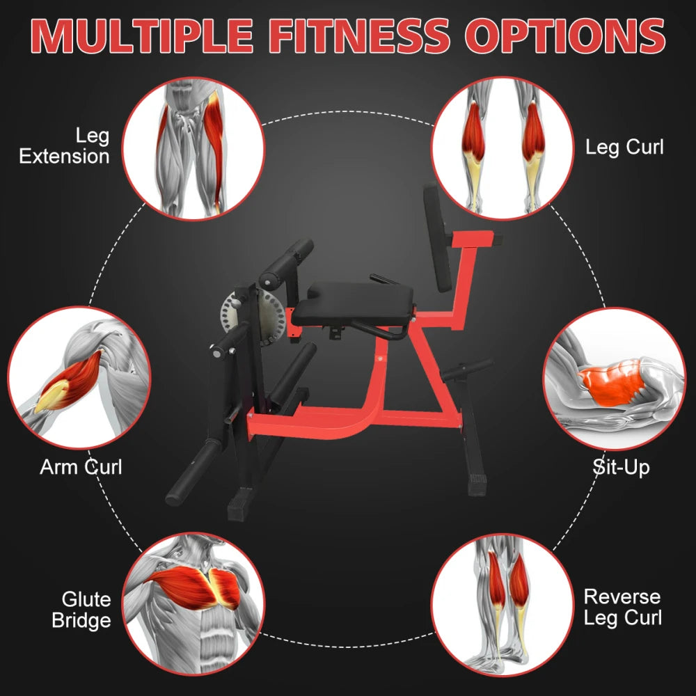 Adjustable Leg Extension and Curl Machine