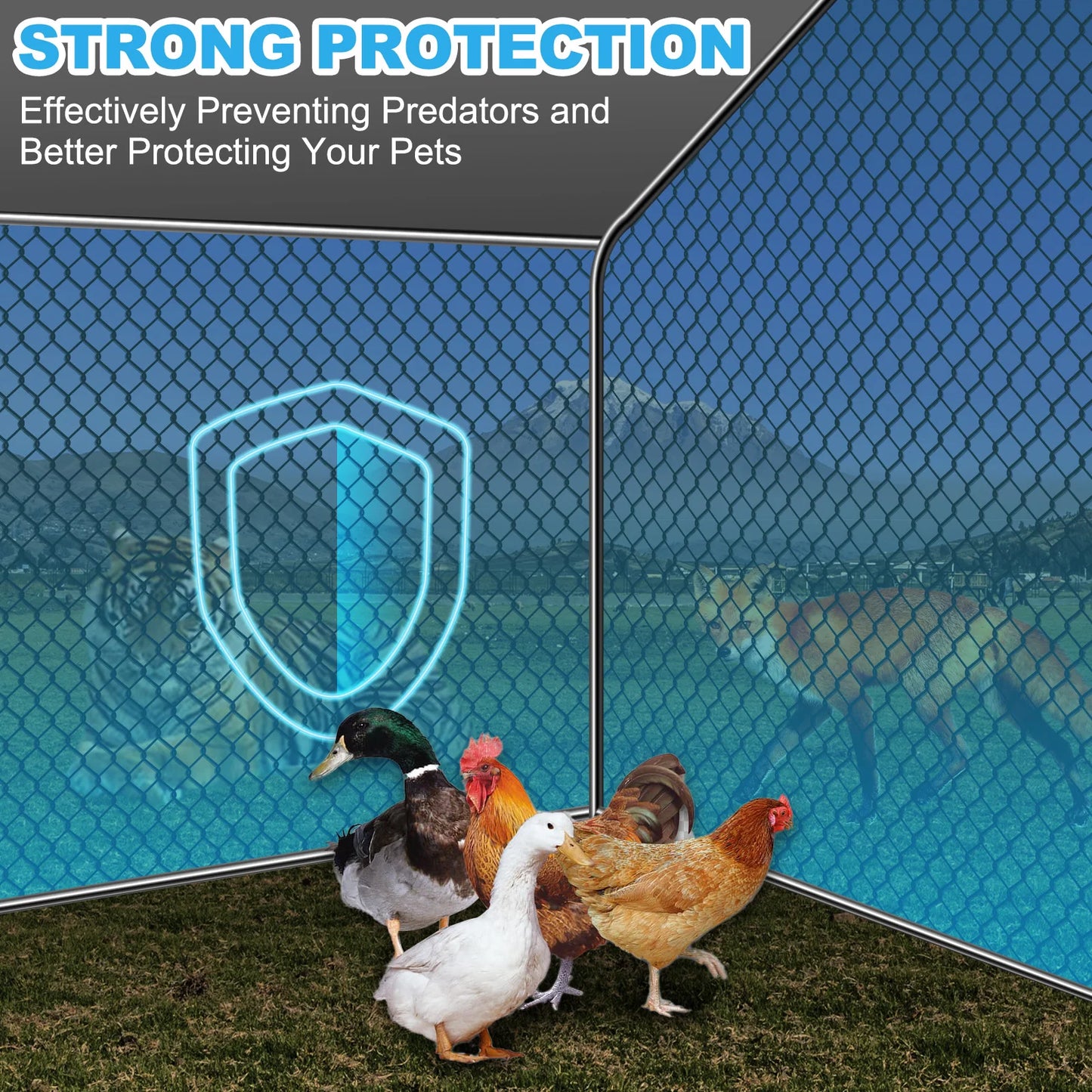 Large Metal Chicken Coop