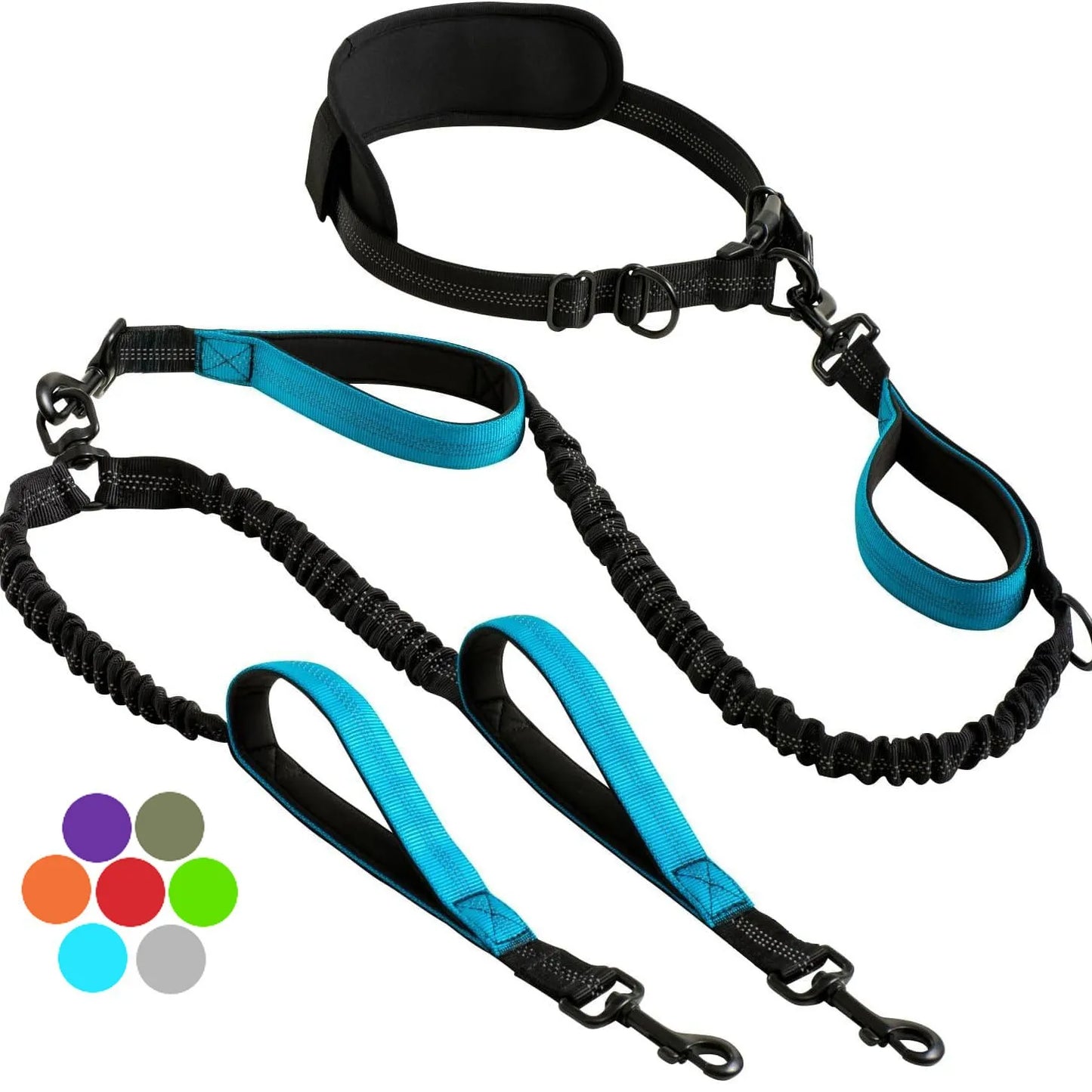 Hands Free Double Dog Leash