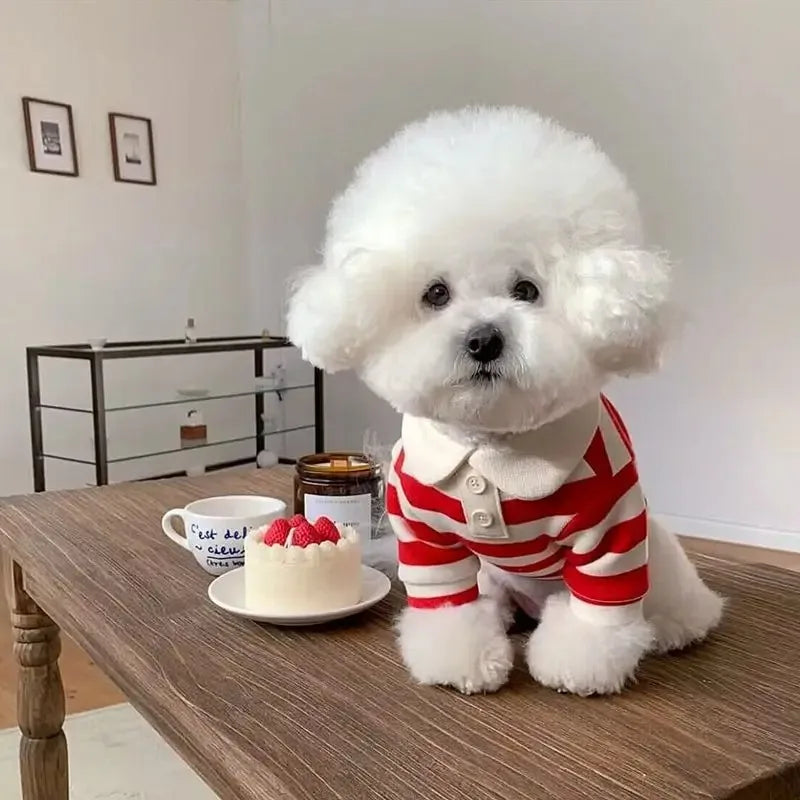 Polo Shirt for Dogs