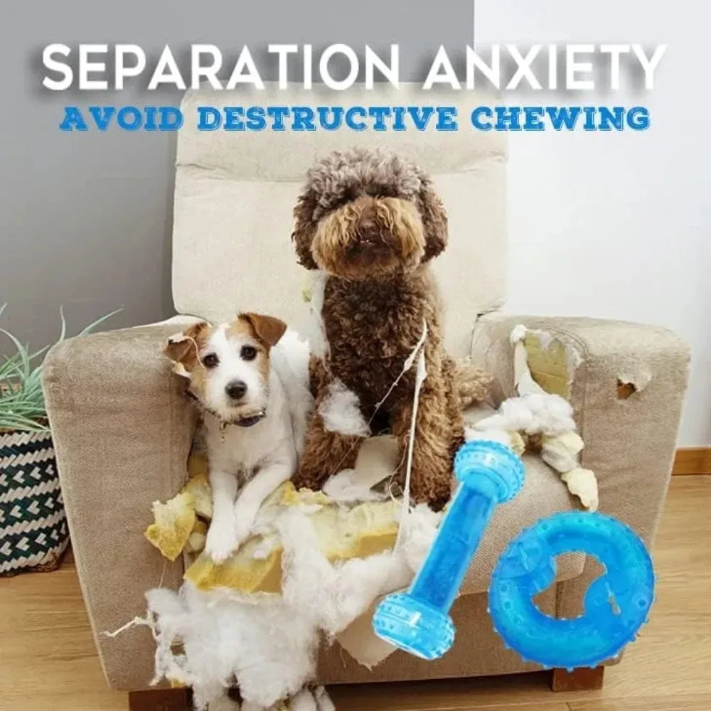 Dog Chew Toys Teething Balls