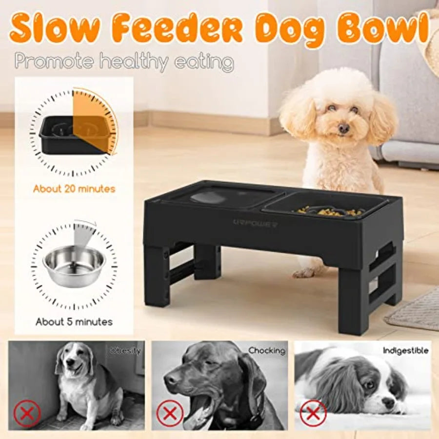 4 Height-Adjustable Dog Bowls