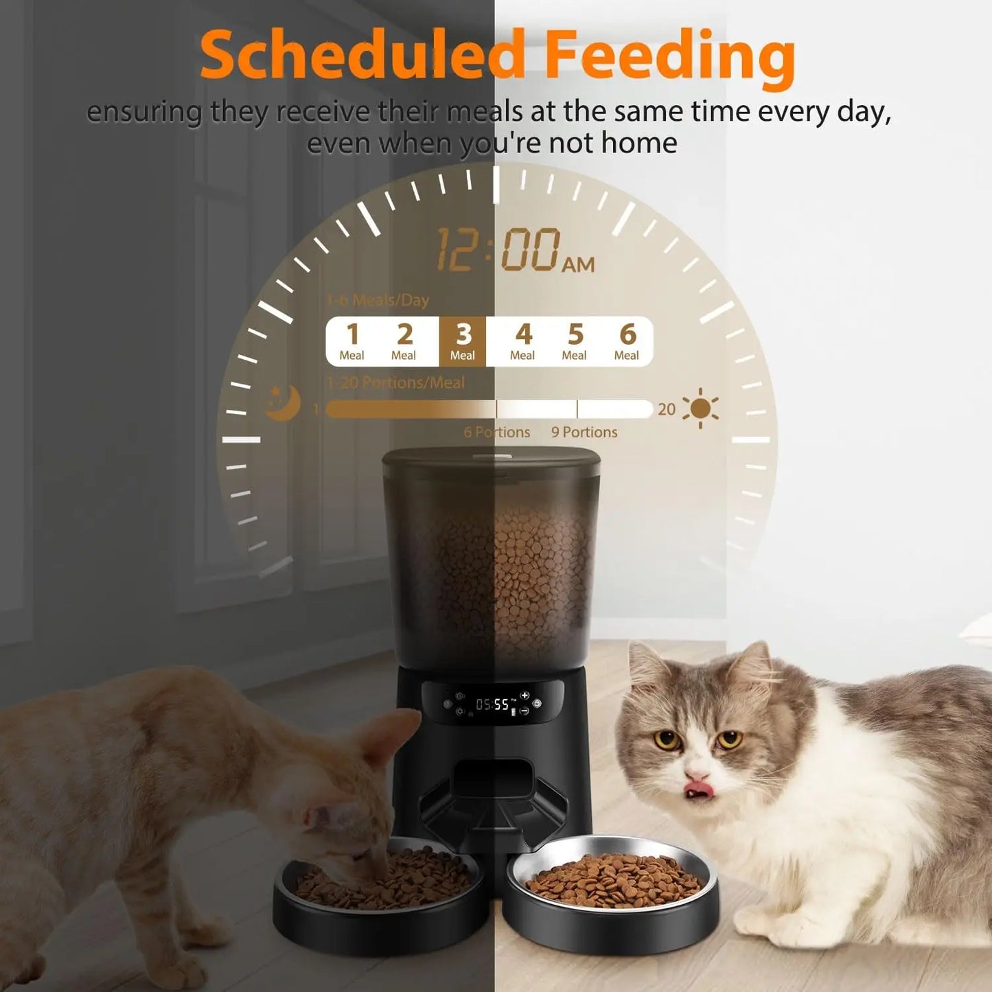 Automatic Pet Feeder for Two Cats