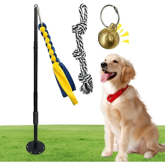 Dog Tether Tug with 2 Rope