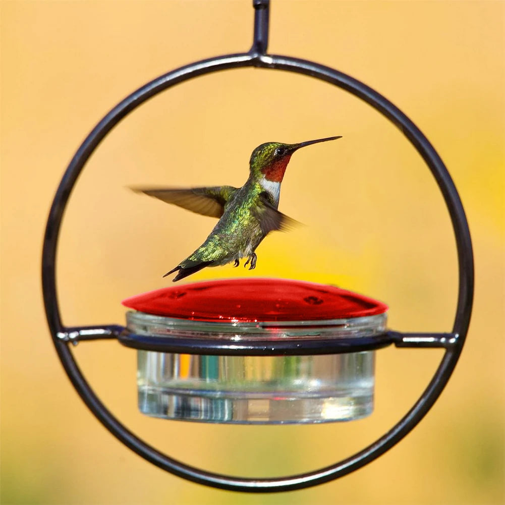 Hummingbird Feeder