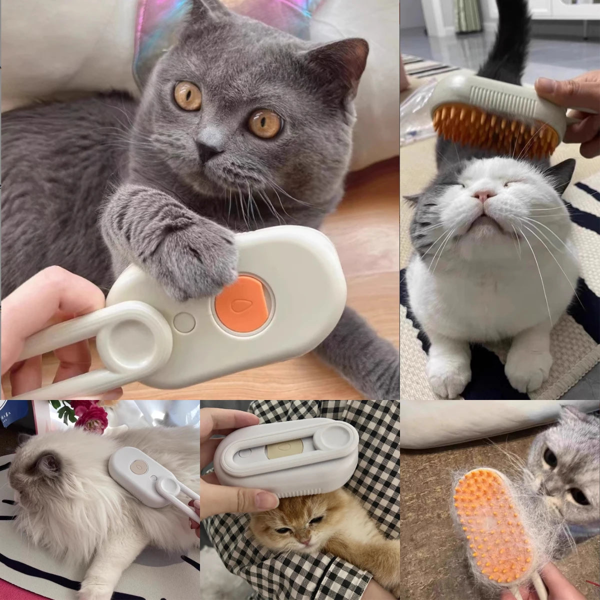 Pet  Brush Steam