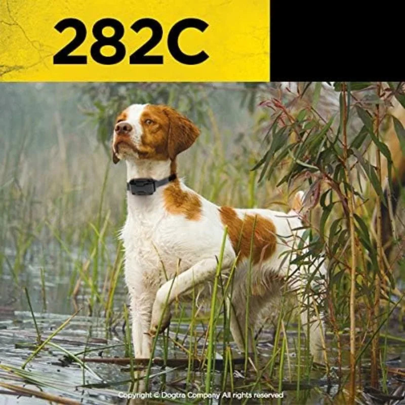Remote Training E-Collar for 2 Dogs