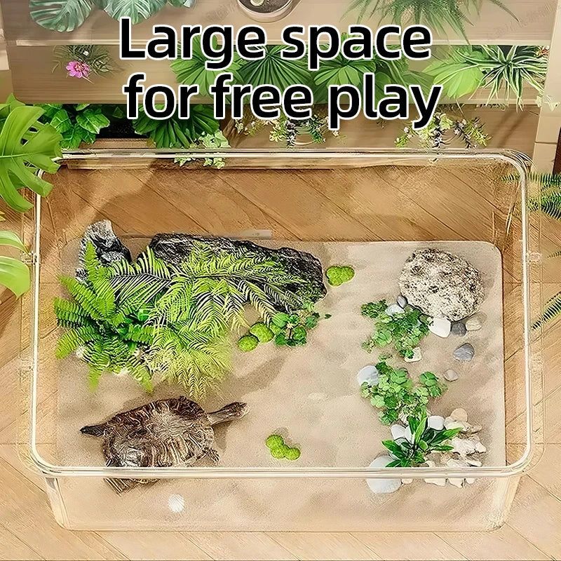 Aquarium Creative Desktop