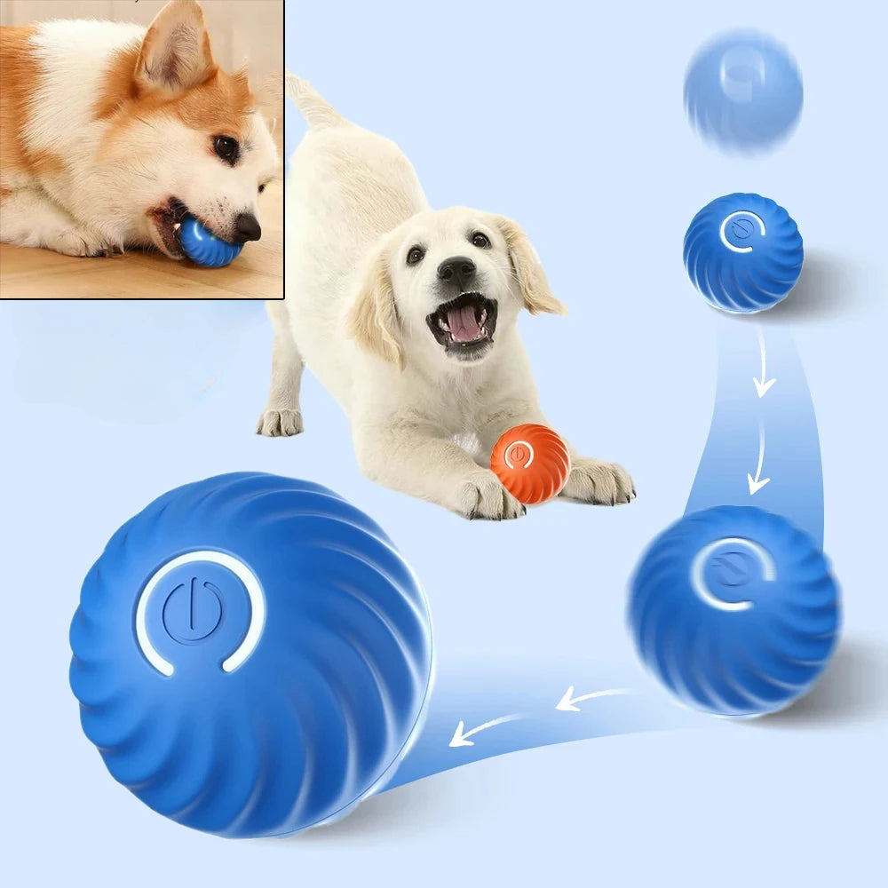 Dog Toy Ball