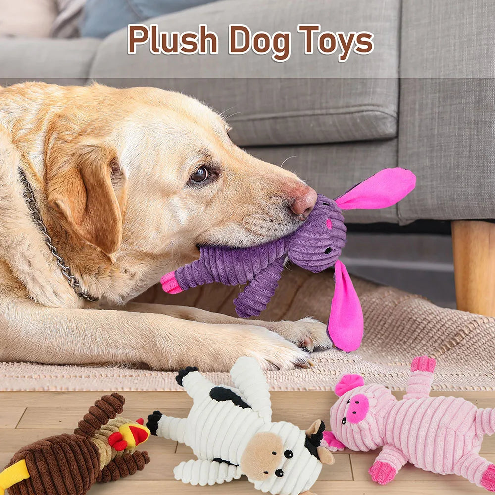 5 Pack Dog Toys