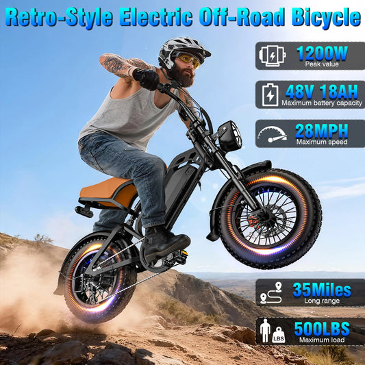 Adult Electric Bike 1000W Peak Motor