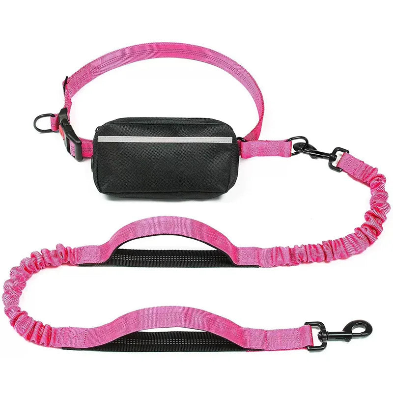Hands Free Dog Leash