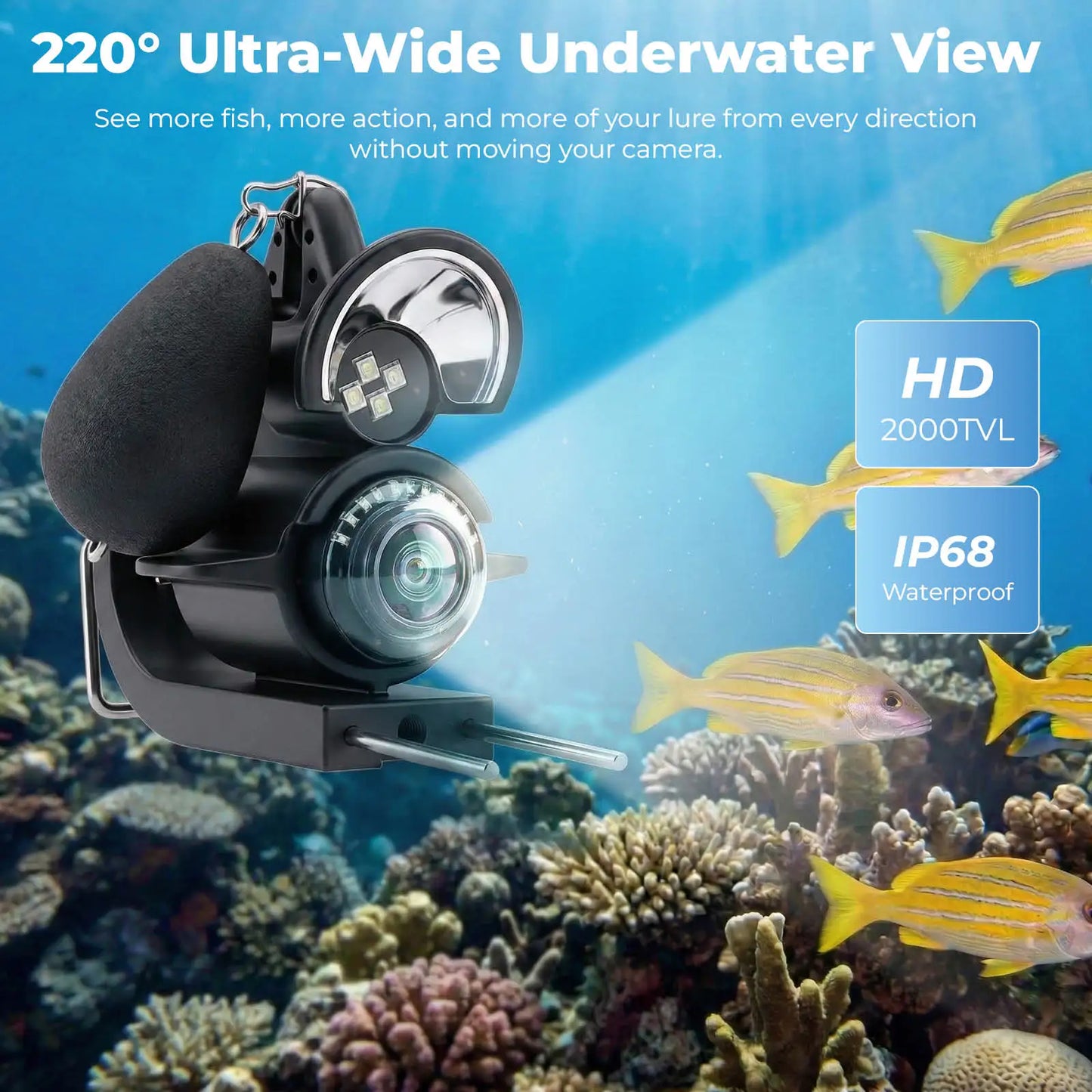 Underwater Visual Fish Finder