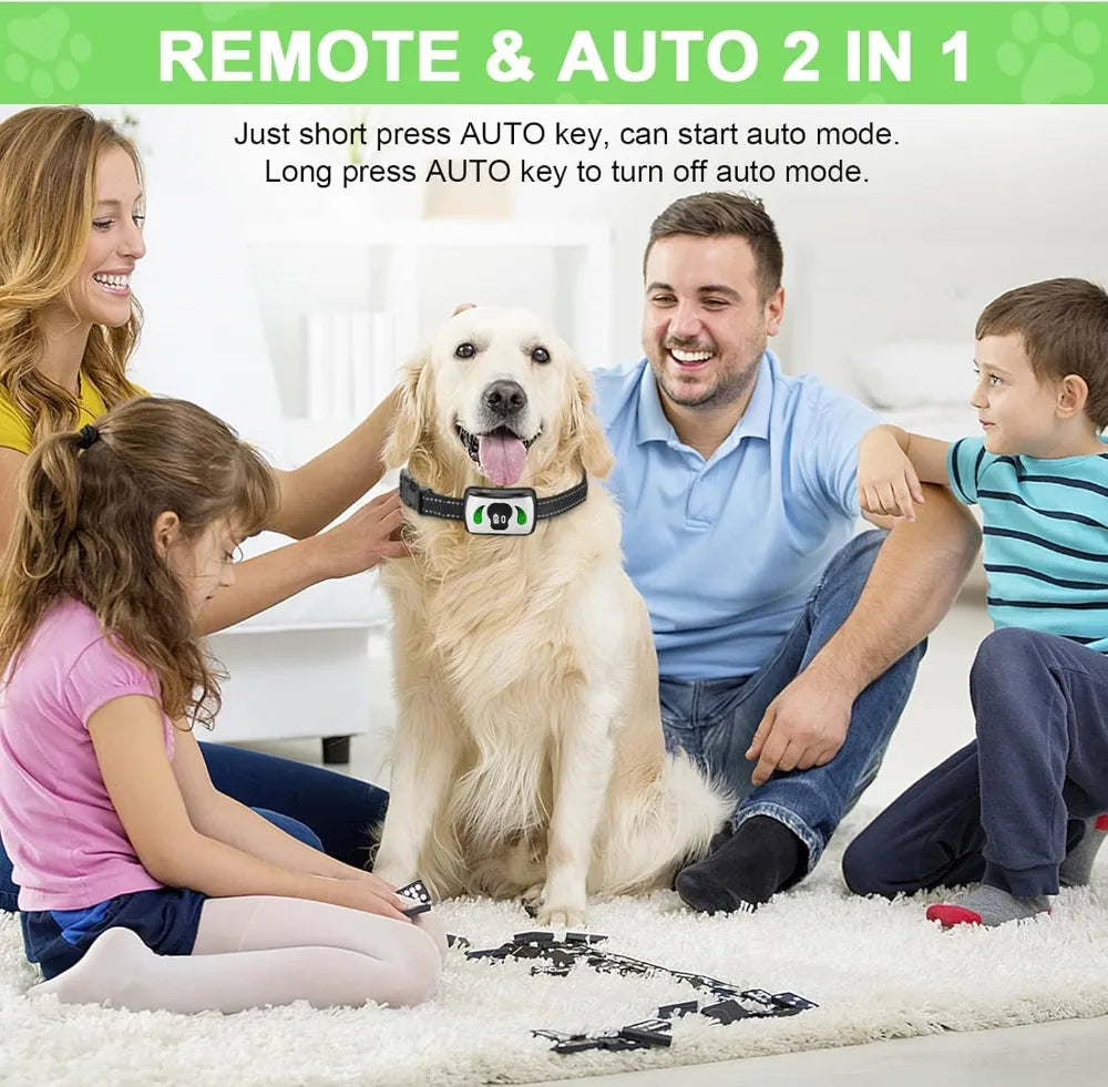 Dog Training Collar with Mini Remote