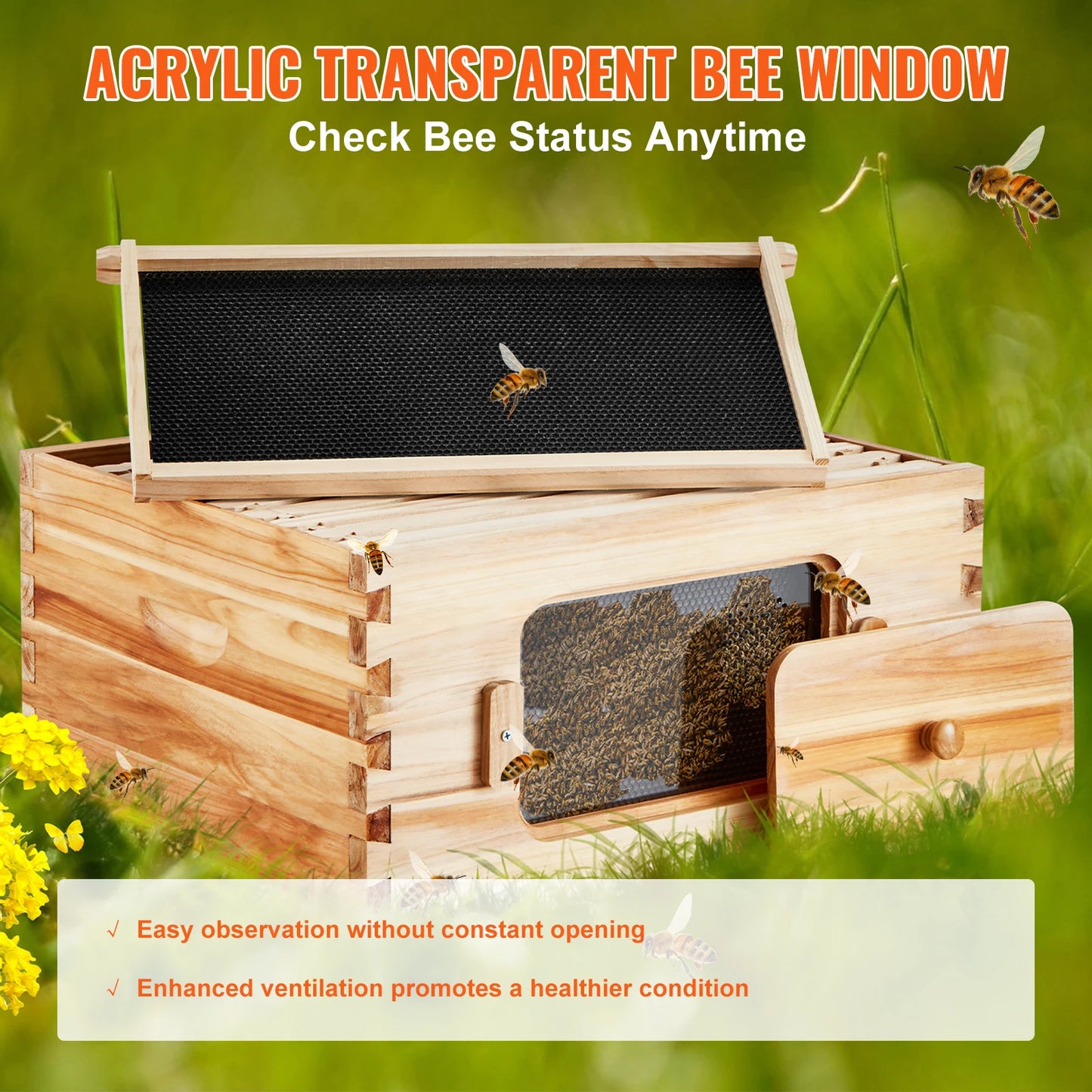 Starter Bee Hive