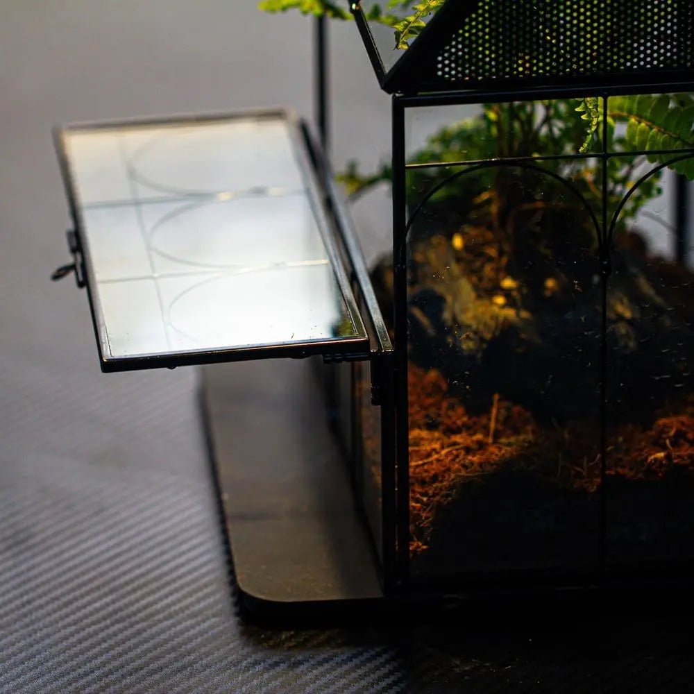 Glass Terrarium Enclosure