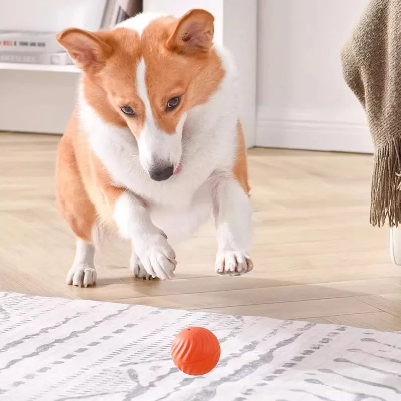 Toy Ball Automatic Moving Dog /Smart USB
