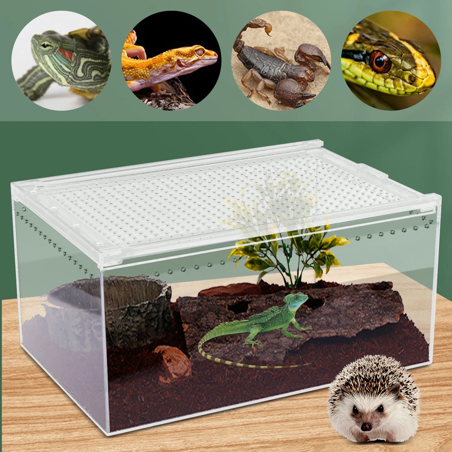 Reptile Pet Breeding Cage 30*20*15cm