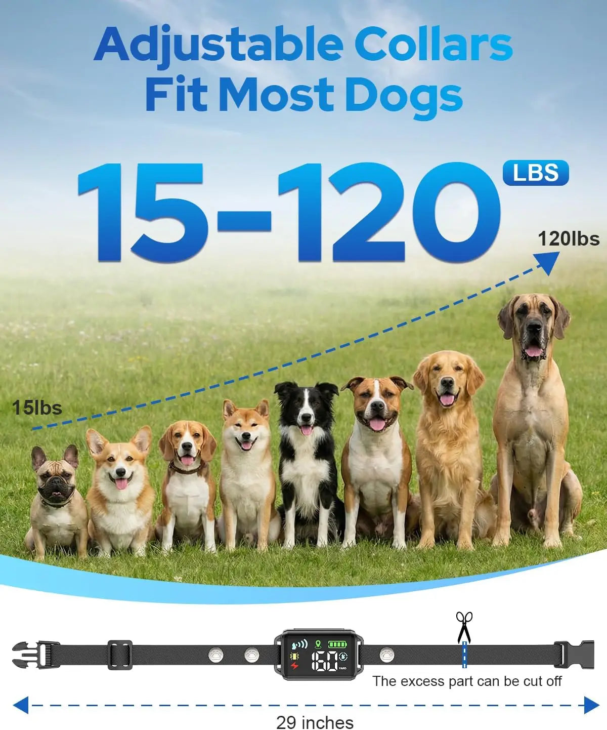 GPS Wireless Dog Fence