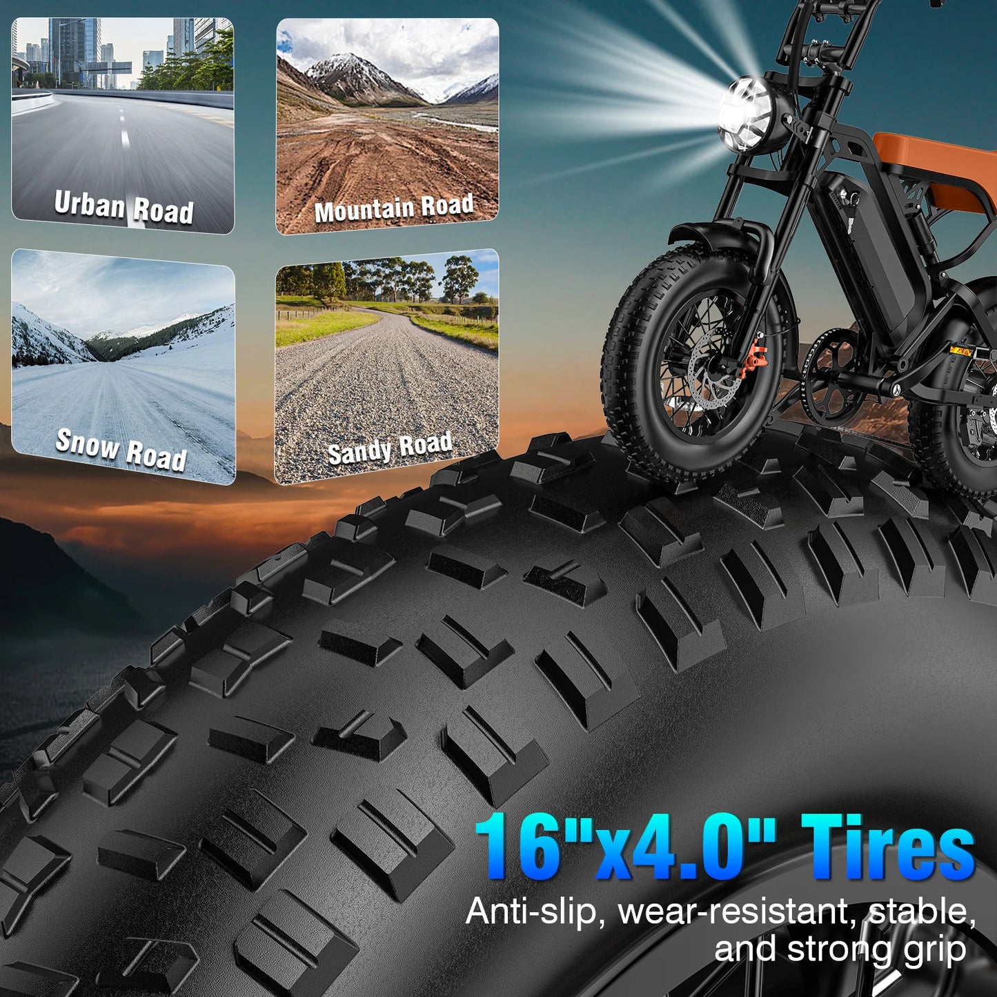 Adult Electric Bike 1000W Peak Motor
