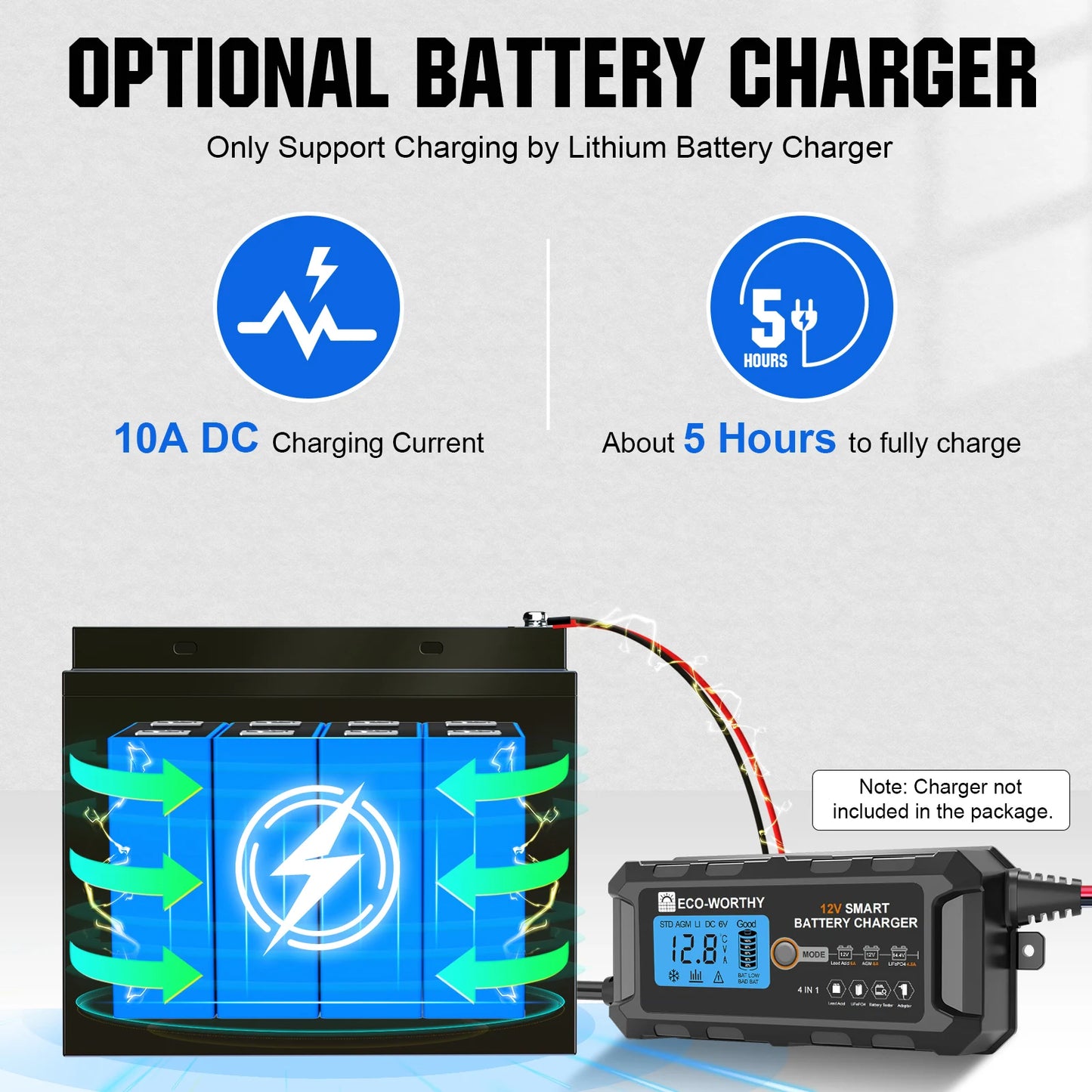 12V 50Ah LiFePO4 Lithium Battery with BMS