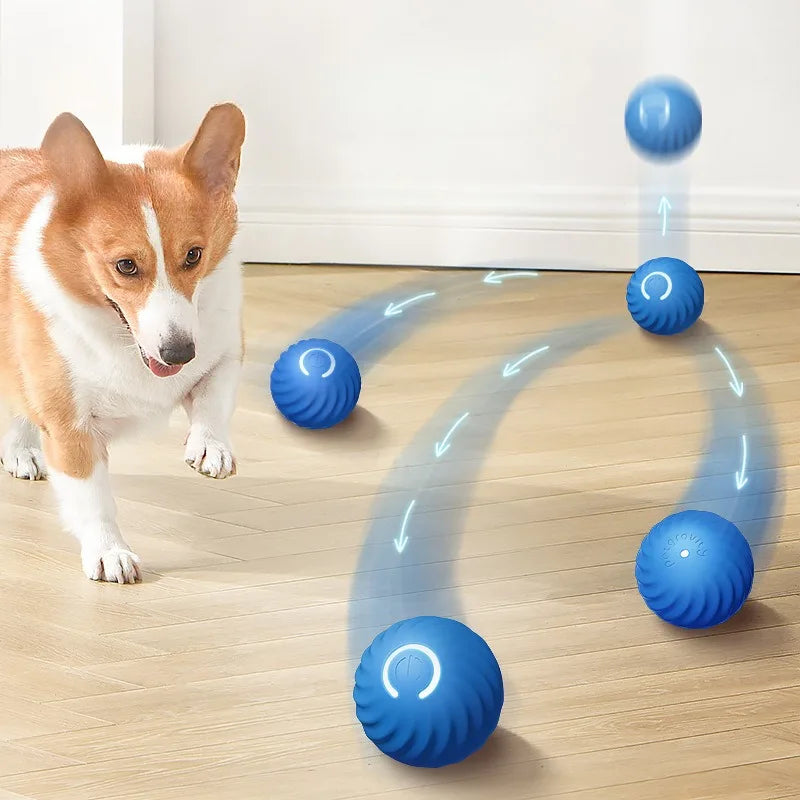 Toy Ball Automatic Moving Dog /Smart USB