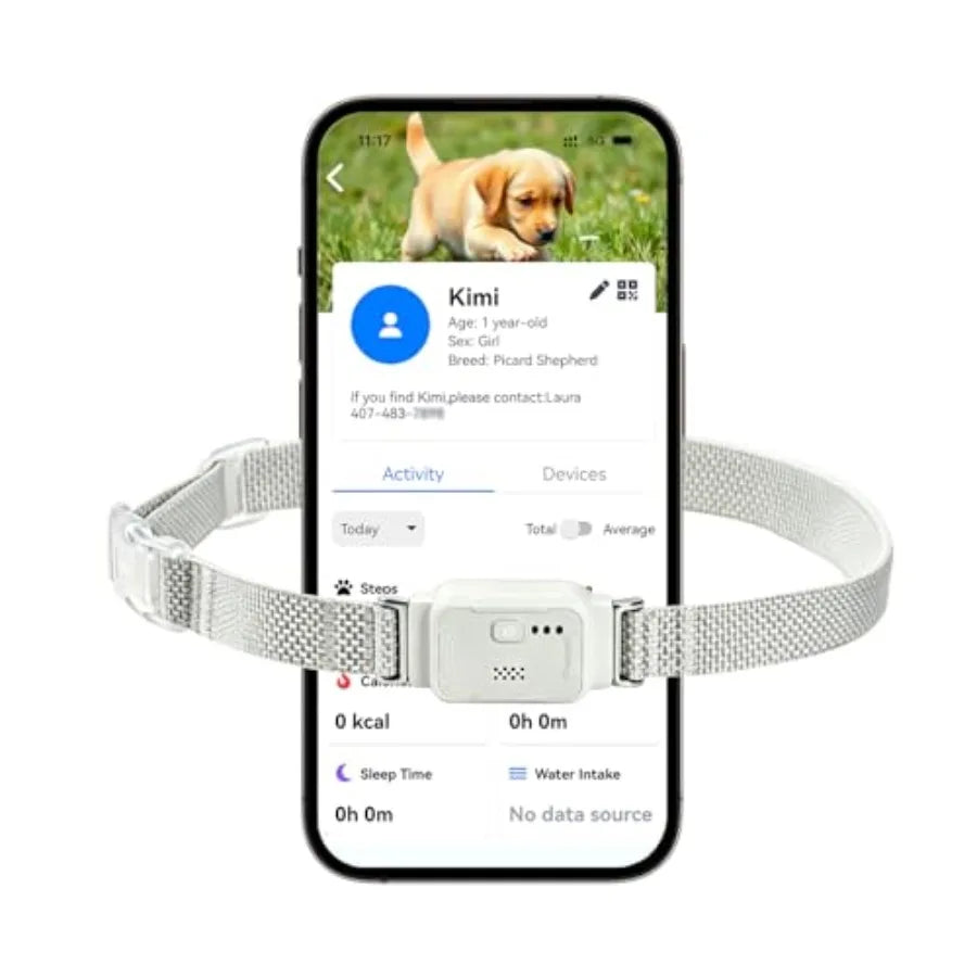 GPS Invisible Fence for Dogs with APP Control