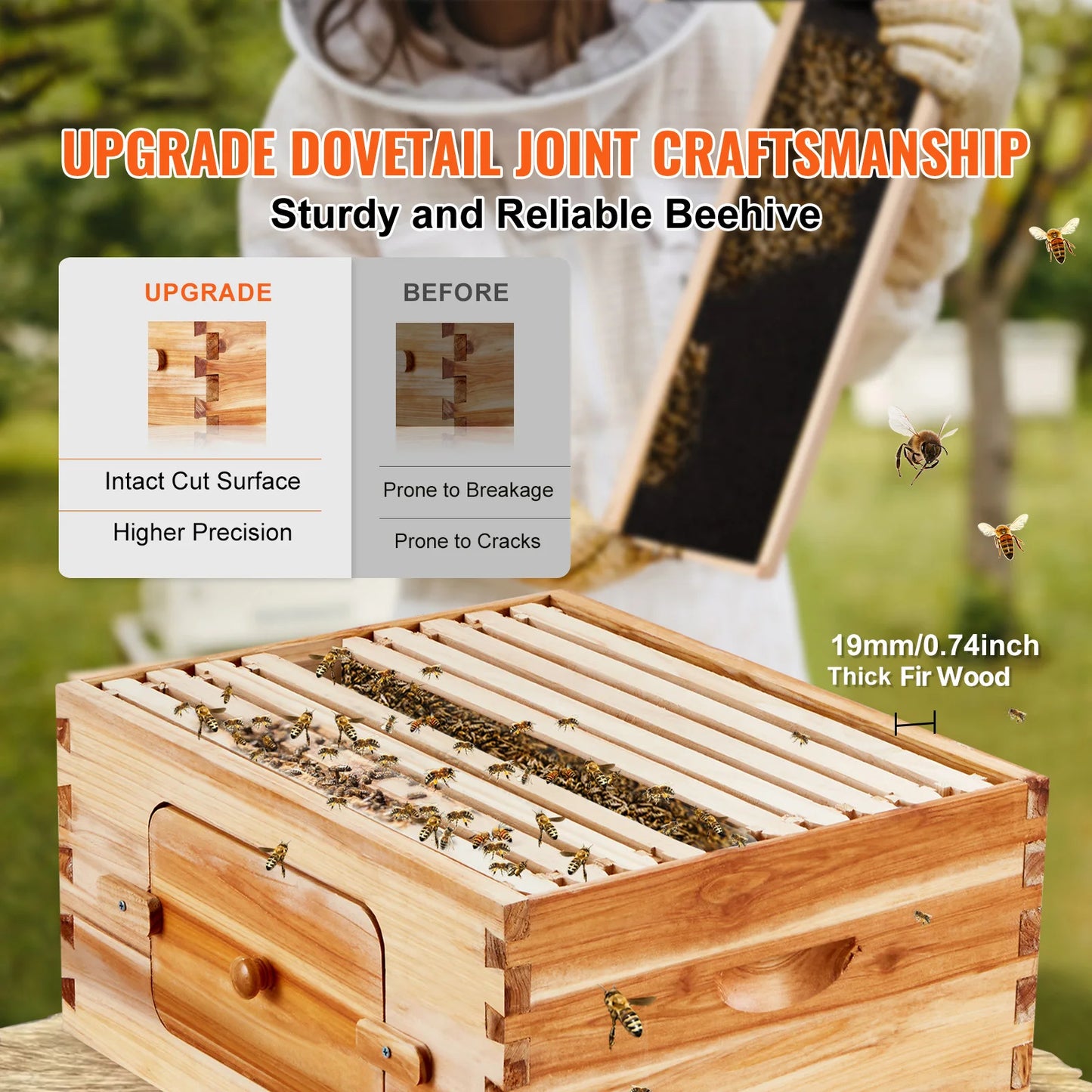 Starter Bee Hive